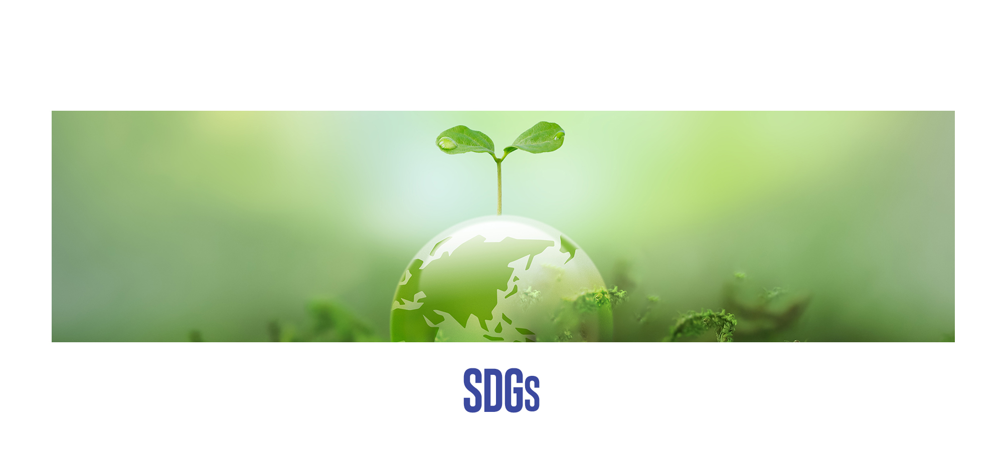 SDGs